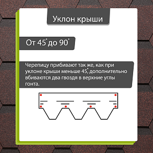Купить Бисквит в Иркутске