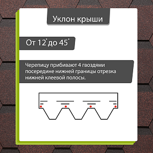 Купить Бисквит в Иркутске