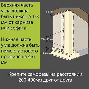 Купить Киви в Иркутске