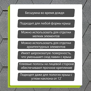 Купить Черника в Иркутске