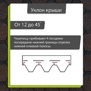 Купить Коричневый в Иркутске