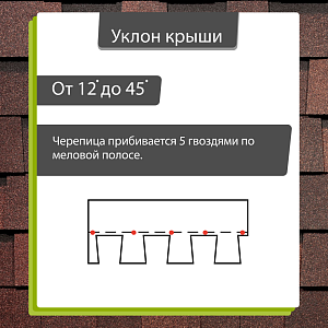 Купить Зрелый каштан в Иркутске