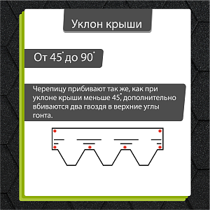 Купить Черный в Иркутске