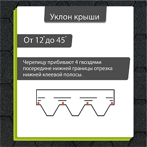 Купить Серый в Иркутске