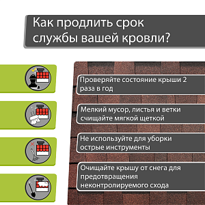 Купить Зрелый каштан в Иркутске