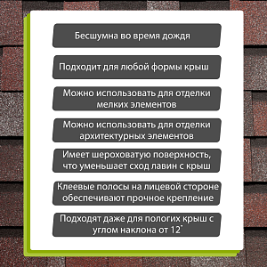 Купить Слива в Иркутске