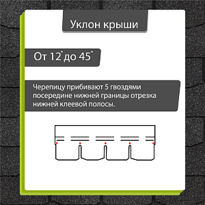 Купить Ежевика в Иркутске