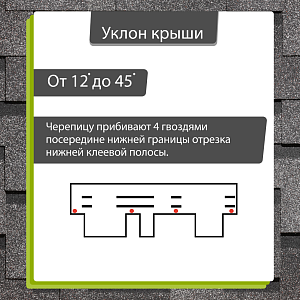 Купить Канноли в Иркутске