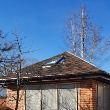Зрелый каштан