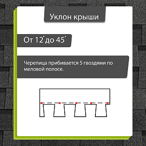 Купить Ежевика в Иркутске