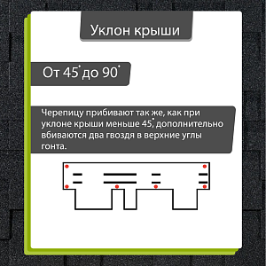 Купить Серый в Иркутске