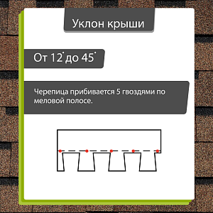Купить Светло-коричневый в Иркутске
