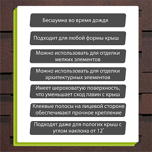 Купить Зрелый каштан в Иркутске