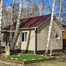 Темный орех