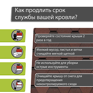 Купить Зрелый каштан в Иркутске