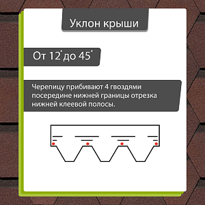 Купить Зрелый каштан в Иркутске