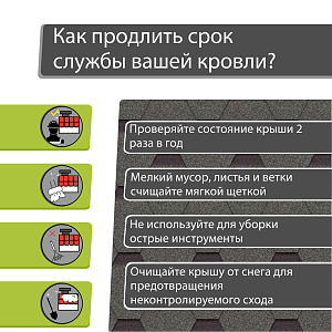 Купить Авокадо в Иркутске