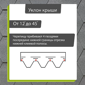Купить Черника в Иркутске
