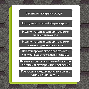 Купить Авокадо в Иркутске