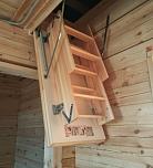 Сорокин Николай Николаевич 20.10.2025