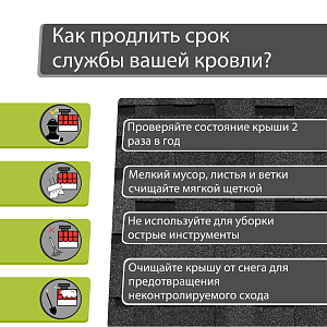 Купить Ежевика в Иркутске
