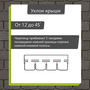 Купить Мокко в Иркутске