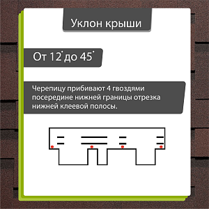 Купить Зрелый каштан в Иркутске