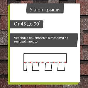 Купить Слива в Иркутске