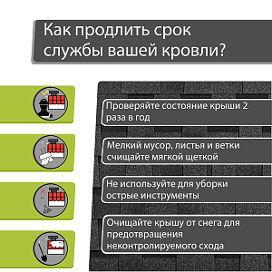 Купить Ежевика в Иркутске