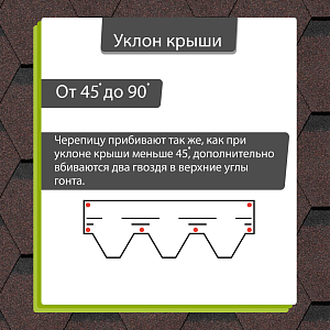Купить Корица в Иркутске