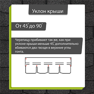 Купить Ежевика в Иркутске