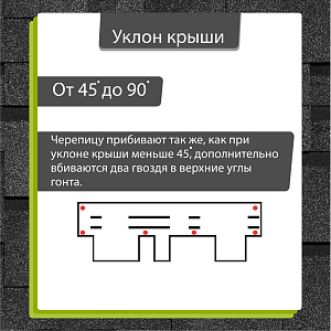 Купить Ежевика в Иркутске