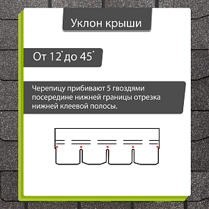 Купить Фладен в Иркутске