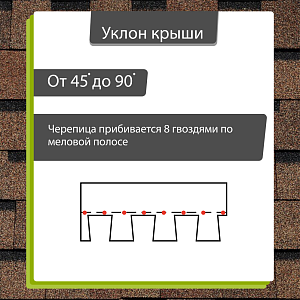 Купить Светло-коричневый в Иркутске