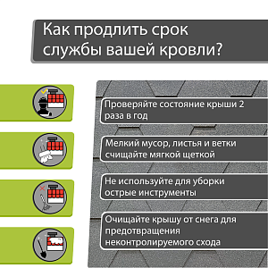 Купить Черника в Иркутске