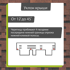 Купить Кофе в Иркутске