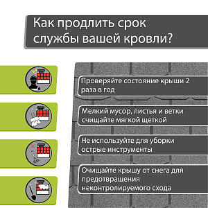 Купить Черника в Иркутске