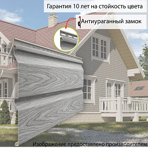 Купить Канадская береза в Иркутске