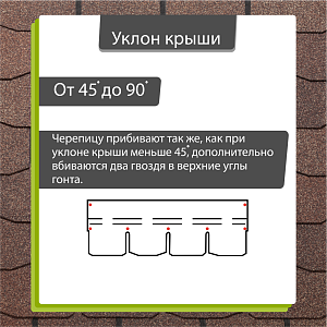 Купить Арахис в Иркутске