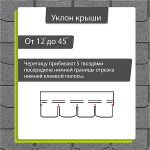 Купить Черника в Иркутске