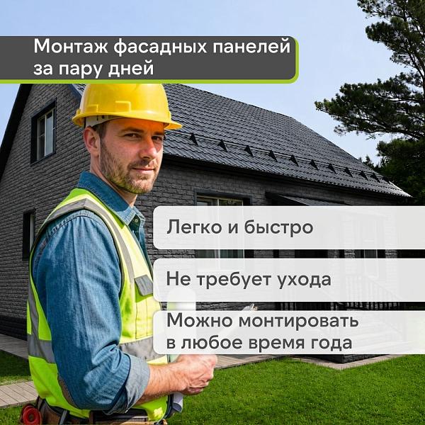 Панель Docke СТАНДАРТ ДЮФУР 1167х449мм 0.43м2 Давос