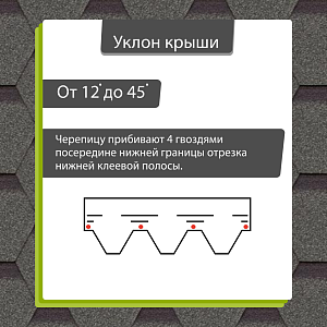 Купить Авокадо в Иркутске