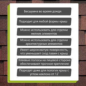 Купить Зрелый каштан в Иркутске