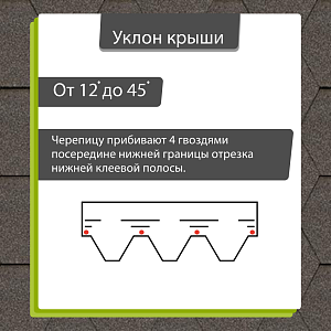 Купить Мокко в Иркутске