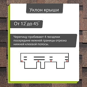 Купить Трюфель в Иркутске