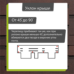Купить Зрелый каштан в Иркутске