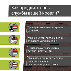 Купить Зрелый каштан в Иркутске