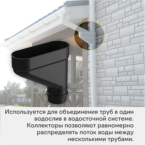 Docke ЛЮКС Коллектор  — Карбон