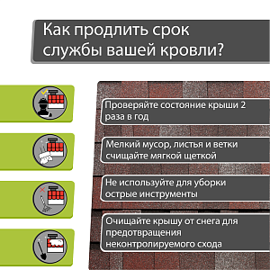 Купить Слива в Иркутске
