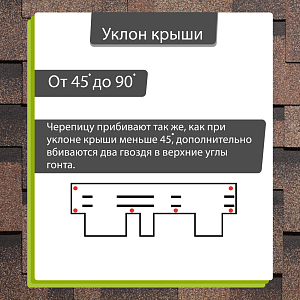 Купить Трюфель в Иркутске